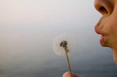 Alerta al&eacute;rgicos